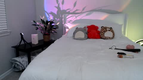 Snapshot of sophieeestar chatting on 7, 1, 2025 Sophie Star online show from 7, 1, 2025