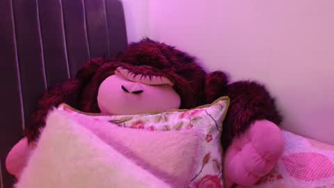 Sophia this is not my real name online show from 28, 11, 2025