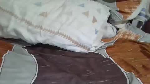 Snapshot of soulkingop chatting on 2, 12, 2024 Dany online show from 2, 12, 2024