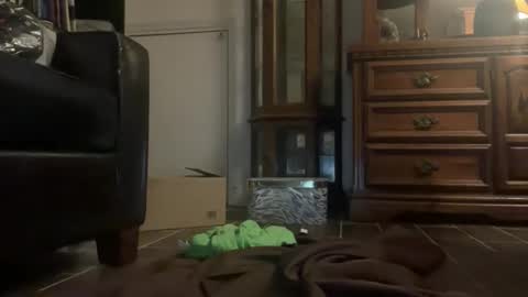 Snapshot of southernblueyes chatting on 11, 4, 2026 Southernblueyes online show from 11, 4, 2026