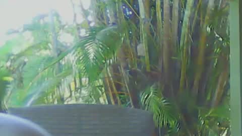 Snapshot of soveryhandsome chatting on 12, 4, 2026 soveryhandsome online show from 12, 4, 2026