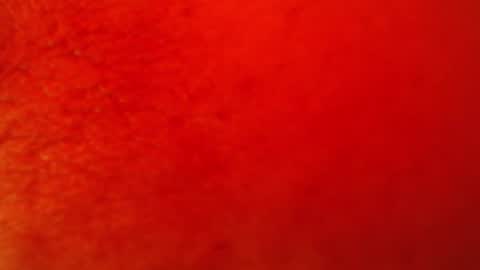 soy_fer online show from 23, 6, 2026