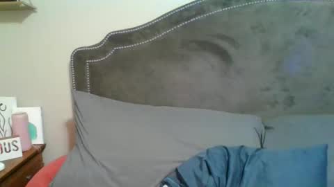 Snapshot of sparklelove69 chatting on 30, 11, 2025 Scottietee online show from 30, 11, 2025