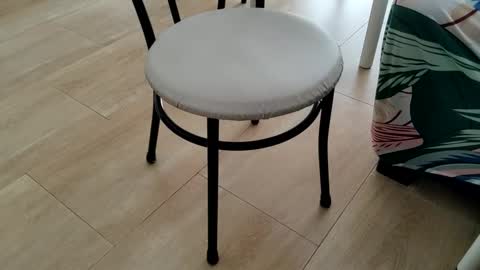 Snapshot of sparky_yena chatting on 2, 3, 2026 Leo online show from 2, 3, 2026