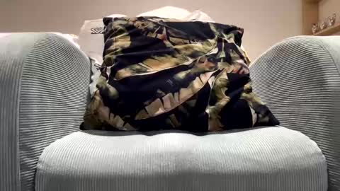 Dany online show from 11, 2, 2025