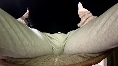 Dany online show from 23, 12, 2025