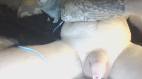 Snapshot of species98 chatting on 29, 1, 2025 species online show from 29, 1, 2025