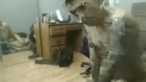 speedfreekeespun online show from 25, 2, 2025