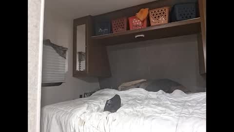 speedo_tx online show from 23, 3, 2026