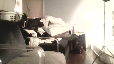 speedsoldier online show from 13, 10, 2025