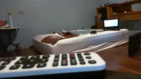 speedsoldier online show from 21, 2, 2026