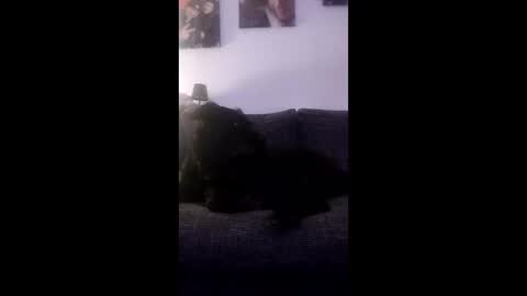 Snapshot of spermaking854897 chatting on 14, 3, 2026 spermaking854897 online show from 14, 3, 2026