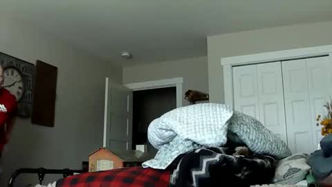 Snapshot of sportfish chatting on 21, 2, 2026 sportfish online show from 21, 2, 2026