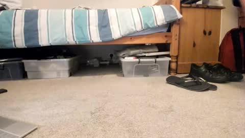 Snapshot of sportyguy283 chatting on 18, 1, 2026 Sportyguy283 online show from 18, 1, 2026