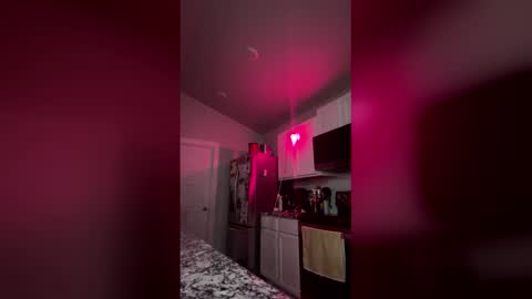 spunspuncam2 online show from 17, 3, 2026