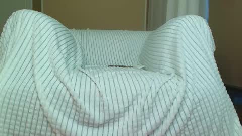 Snapshot of squikt chatting on 31, 10, 2025 Amelia online show from 31, 10, 2025