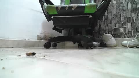 sr master cum its my old account online show from 14, 4, 2026