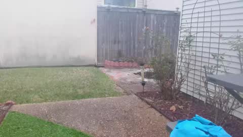 Snapshot of srtxshow chatting on 5, 2, 2025 srtxshow online show from 5, 2, 2025