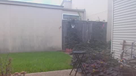 Snapshot of srtxshow chatting on 23, 9, 2025 srtxshow online show from 23, 9, 2025