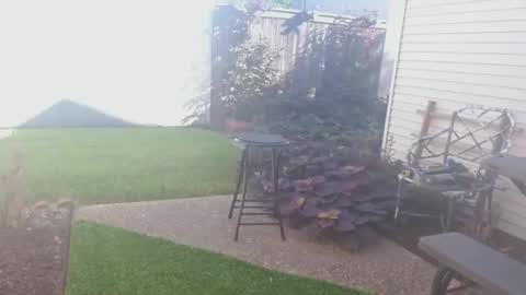 srtxshow online show from 26, 9, 2025