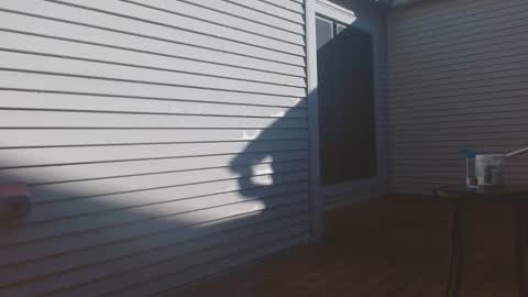 srtxshow online show from 9, 2, 2026