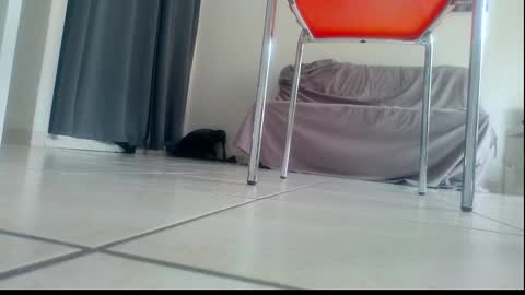 Snapshot of ssenzo chatting on 21, 12, 2025 ssenzo online show from 21, 12, 2025