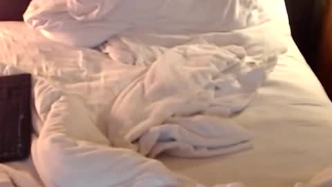 Snapshot of st8llion chatting on 11, 1, 2025 st8llion online show from 11, 1, 2025