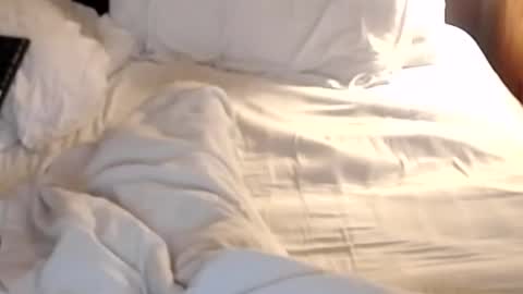 Snapshot of st8llion chatting on 24, 1, 2025 st8llion online show from 24, 1, 2025