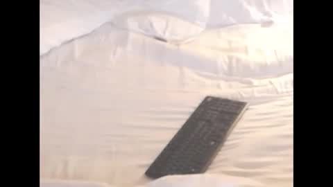 Snapshot of st8llion chatting on 8, 11, 2025 st8llion online show from 8, 11, 2025