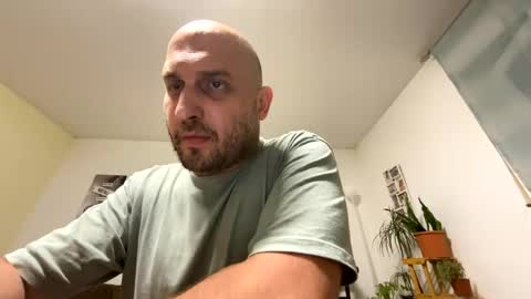 sta13 online show from 8, 7, 2026