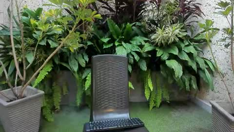 STAAR HOT online show from 1, 2, 2026