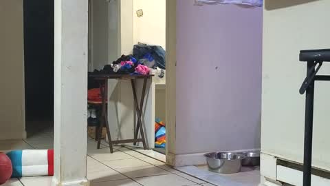 Snapshot of stacytasteme chatting on 29, 1, 2025 Submissive Slut LOVES adoration online show from 29, 1, 2025