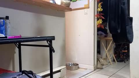 Snapshot of stacytasteme chatting on 20, 11, 2025 Submissive Slut LOVES adoration online show from 20, 11, 2025