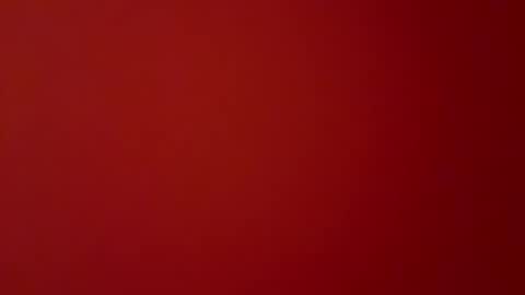 stadedefrance online show from 10, 12, 2024