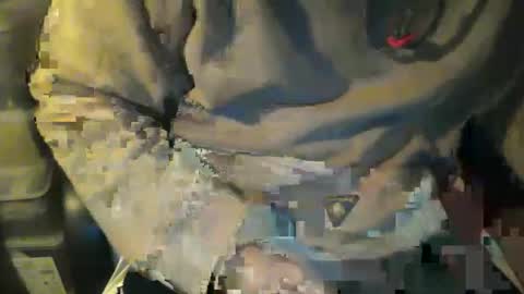 CIPPALIPPA online show from 8, 11, 2025