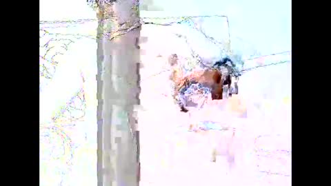 Snapshot of star0806666a chatting on 19, 4, 2026 star0806666a online show from 19, 4, 2026