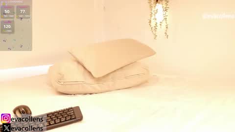 Snapshot of starcollens chatting on 3, 3, 2026 EVA COLLENS online show from 3, 3, 2026