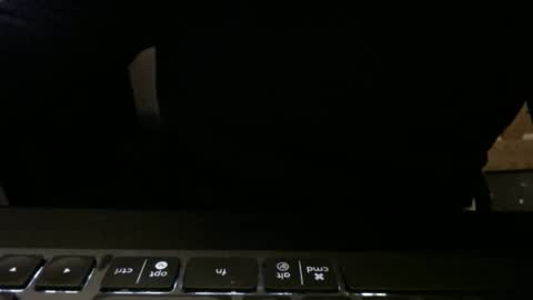 Snapshot of stargazer1069 chatting on 13, 11, 2025 stargazer1069 online show from 13, 11, 2025