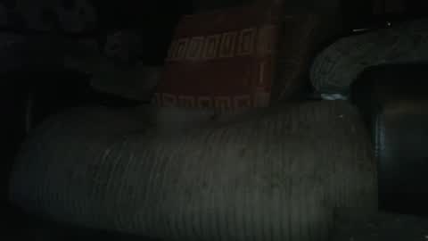 Snapshot of ste_wulf chatting on 4, 3, 2025 ste_wulf online show from 4, 3, 2025