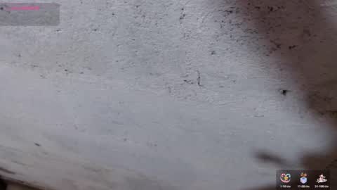 Snapshot of stefany_pablo1 chatting on 1, 11, 2025 stefany_pablo1 online show from 1, 11, 2025