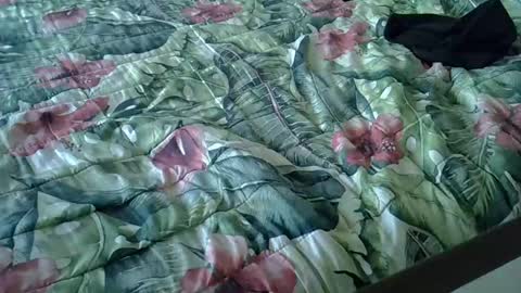 Snapshot of stel7621 chatting on 15, 1, 2025 Rocco-load online show from 15, 1, 2025