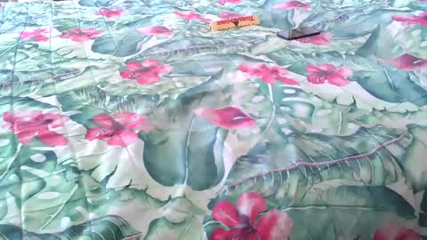 Snapshot of stel7621 chatting on 4, 4, 2026 Rocco-load online show from 4, 4, 2026