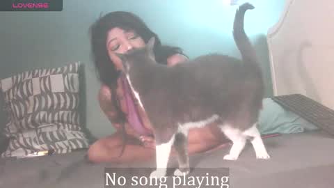 Stella Clitella online show from 3, 10, 2025