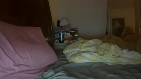 Snapshot of stellaangel chatting on 26, 10, 2025 stellaangel online show from 26, 10, 2025