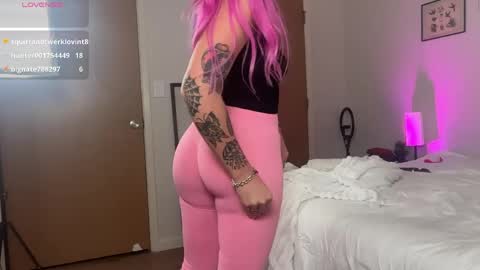 stellacorbet online show from 29, 5, 2026