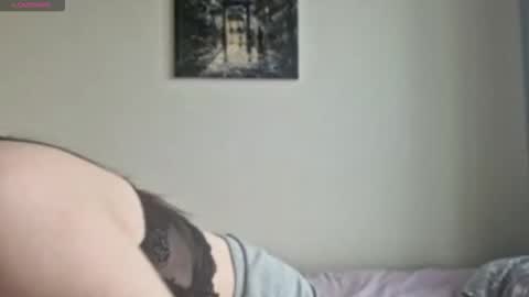 Stella online show from 26, 11, 2025