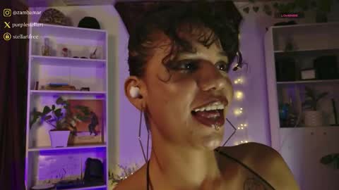 Snapshot of stellart_ chatting on 5, 2, 2026 stellart_ online show from 5, 2, 2026