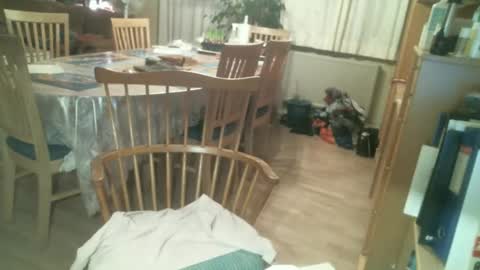 stellatrans12 online show from 2, 12, 2024