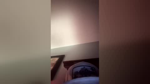 Snapshot of stetsonghg chatting on 28, 4, 2026 stetsonghg online show from 28, 4, 2026