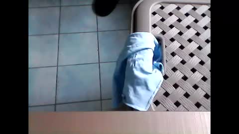 Snapshot of stevenx1974 chatting on 8, 3, 2026 stevenx1974 online show from 8, 3, 2026